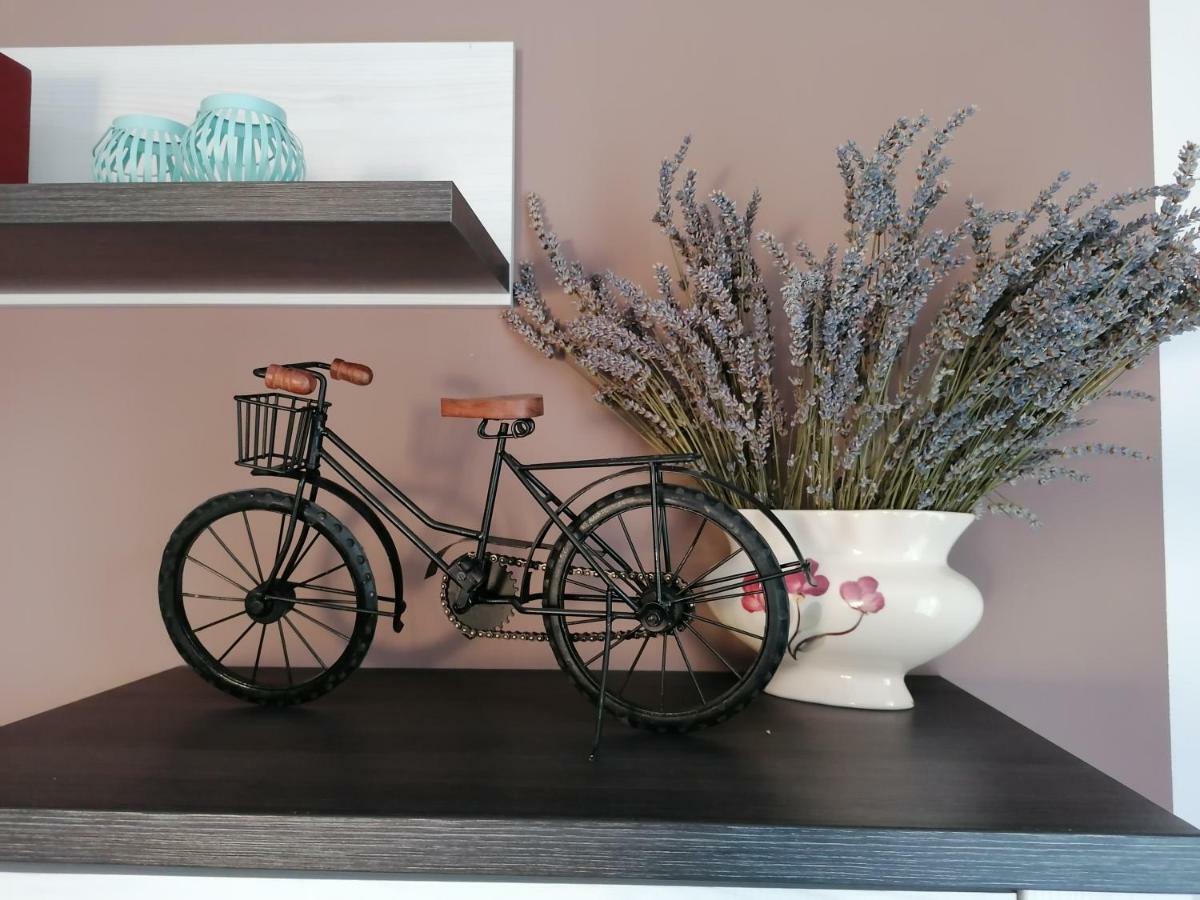 Apartman Luna Σίμπενικ Εξωτερικό φωτογραφία